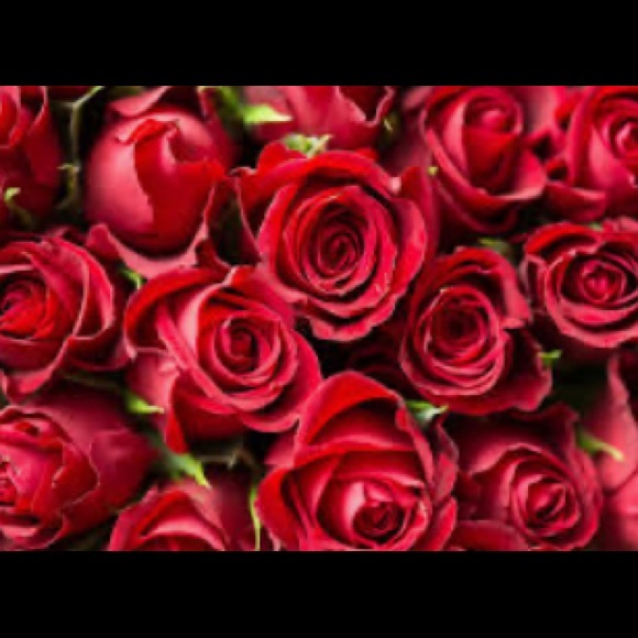 laurenbaker01